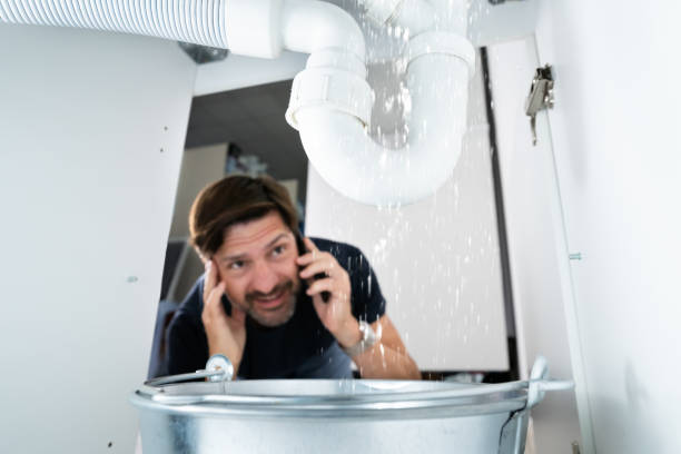 Best Sprinkler Systems  in Swissvale, PA